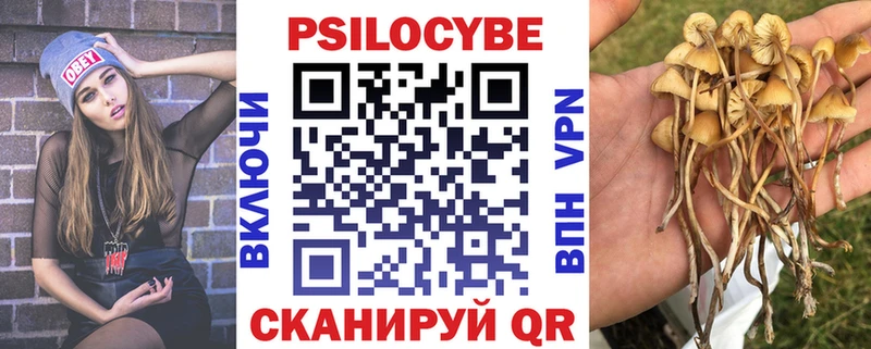 Псилоцибиновые грибы Psilocybe  Бабушкин 